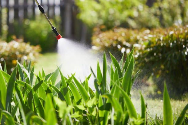 24/7 Emergency Cockroach Control experts in Springfield, NE