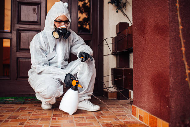 Reliable Cockroach Control contractor in Springfield, NE by Nex Pest Control