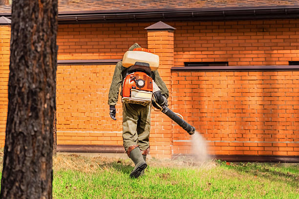Top rated local Cockroach Control specialists in Springfield, NE